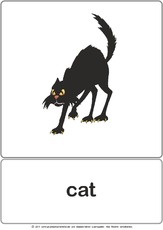 Bildkarte - cat.pdf